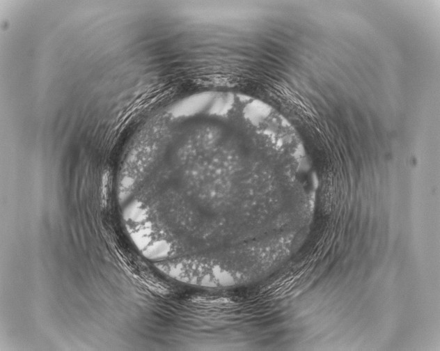 X0000087020747200705141856