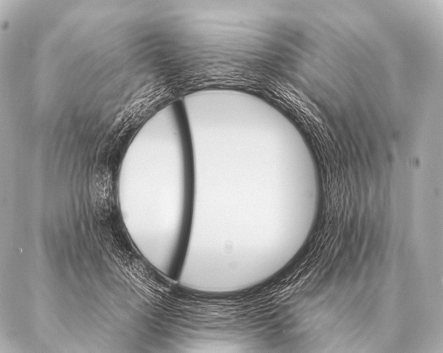 X0000087020748200705141856