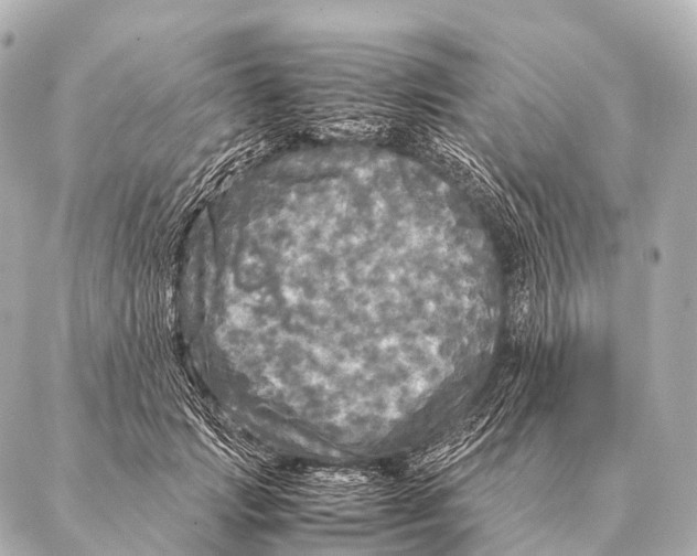 X0000087020749200705141856