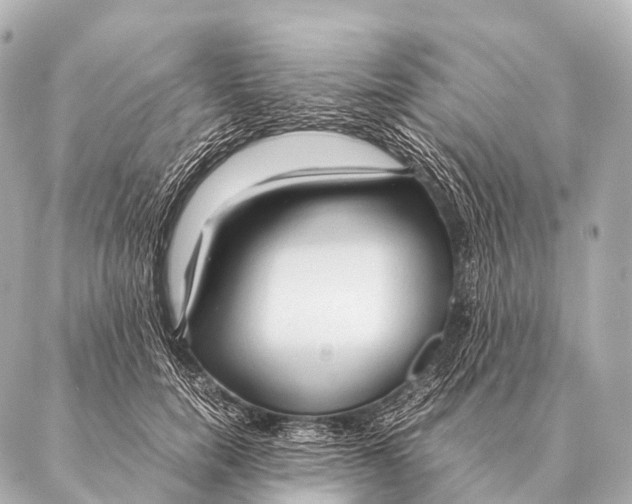 X0000087020750200705141856