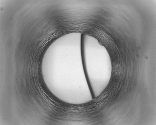 X0000087020752200705141856