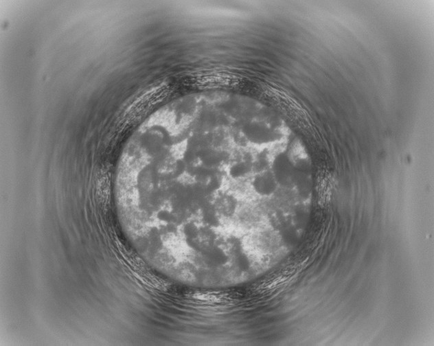 X0000087020753200705141856