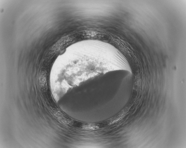 X0000087020754200705141856