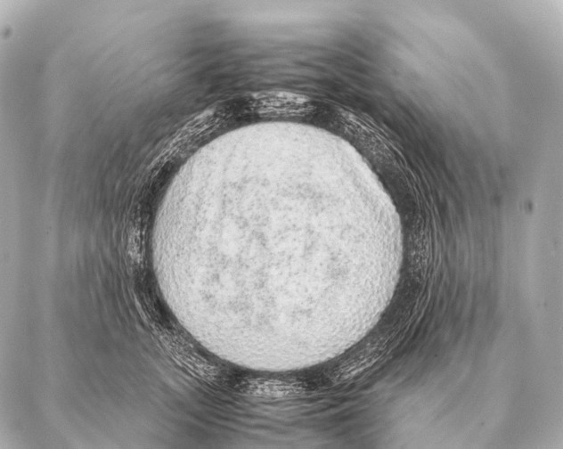 X0000087020755200705141856