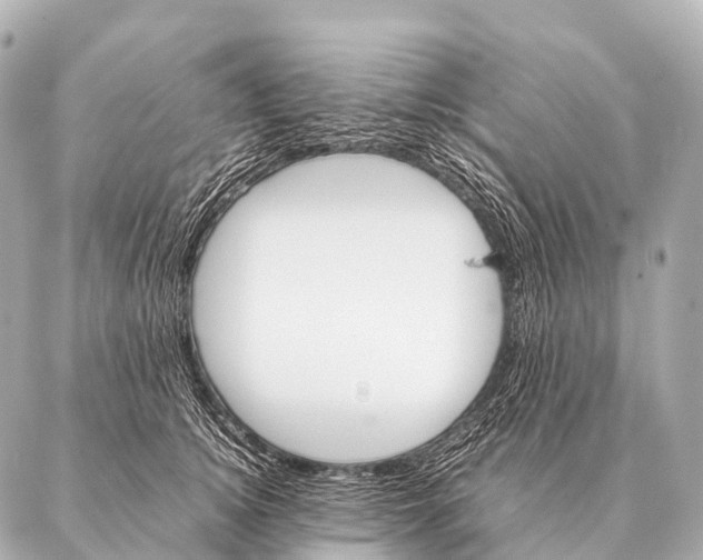 X0000087020756200705141856