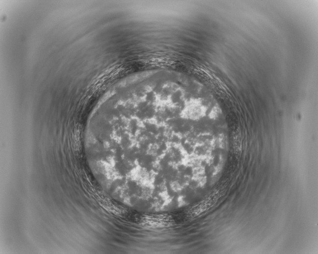 X0000087020757200705141856