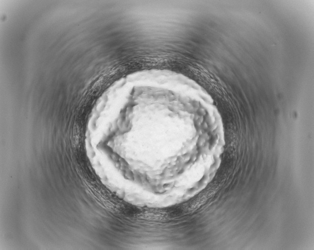 X0000087020758200705141856