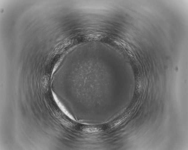 X0000087020759200705141856