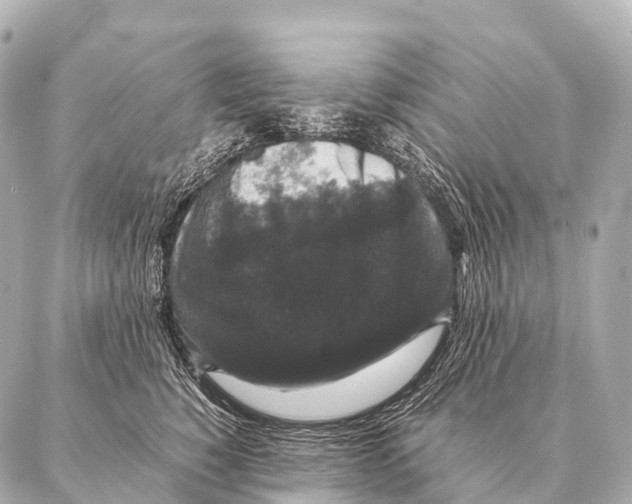 X0000087020760200705141856