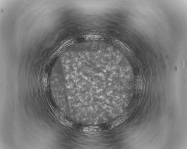 X0000087020761200705141856