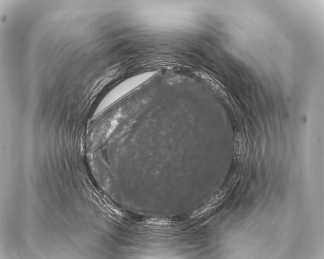 X0000087020762200705141856