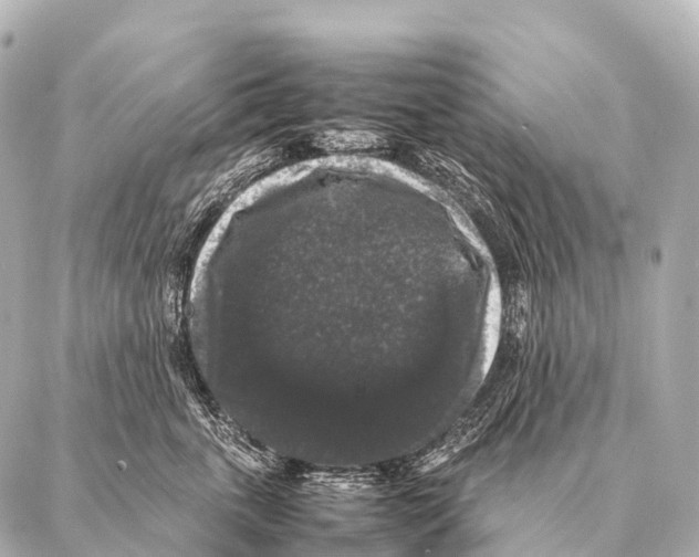 X0000087020763200705141856