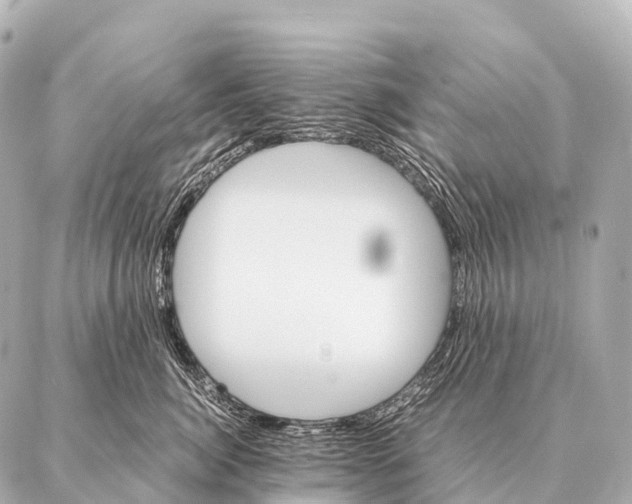 X0000087020764200705141856