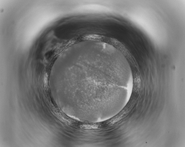 X0000087020765200705141856