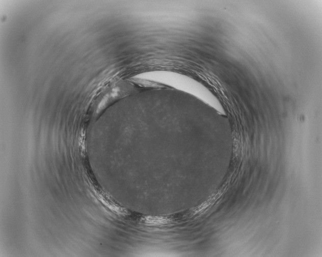 X0000087020766200705141856