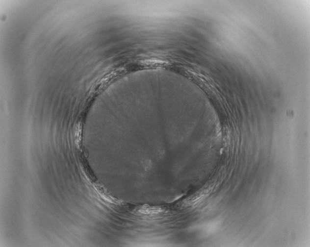 X0000087020767200705141856