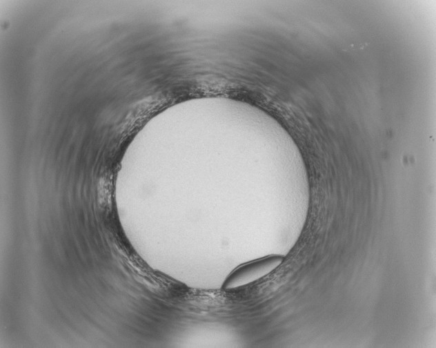 X0000087020768200705141856