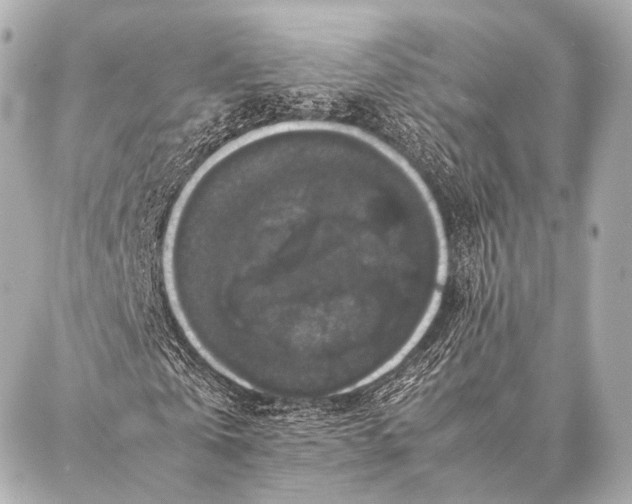 X0000087020769200705141855