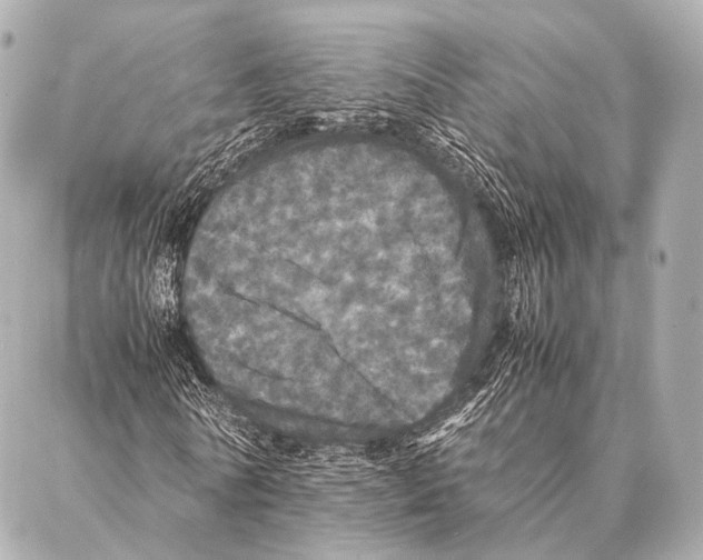 X0000087020770200705141855