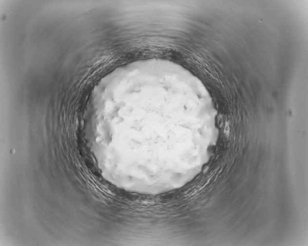 X0000087020771200705141855