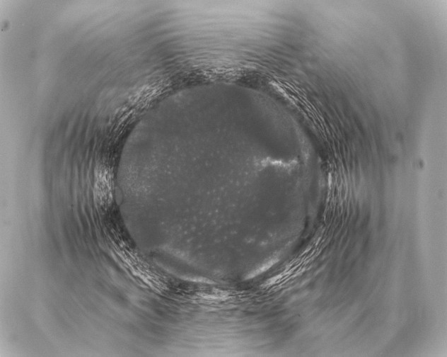 X0000087020772200705141855