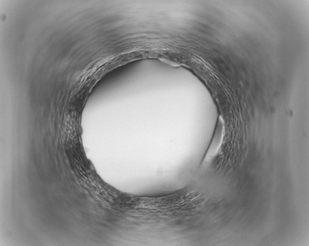 X0000087020773200705141855