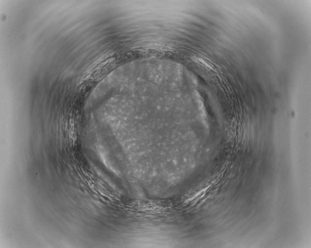 X0000087020774200705141855