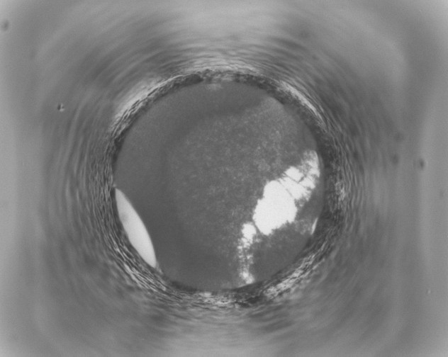 X0000087020775200705141855