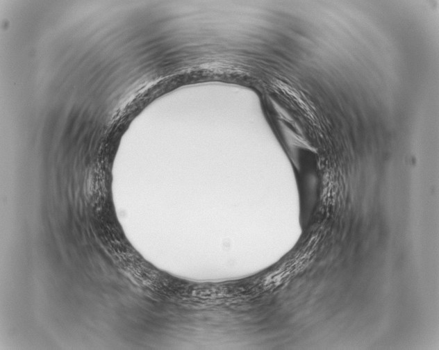 X0000087020776200705141855