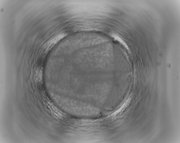 X0000087020777200705141855