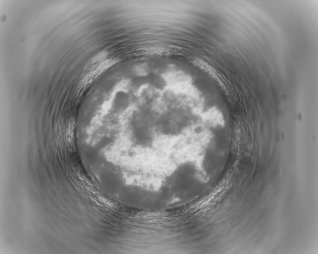 X0000087020778200705141855