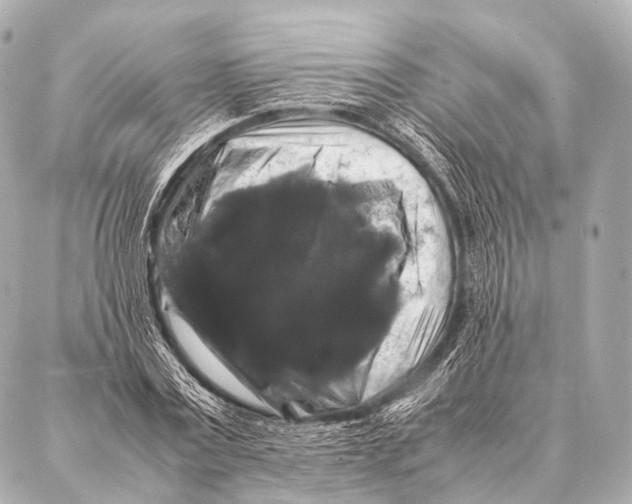 X0000087020779200705141855