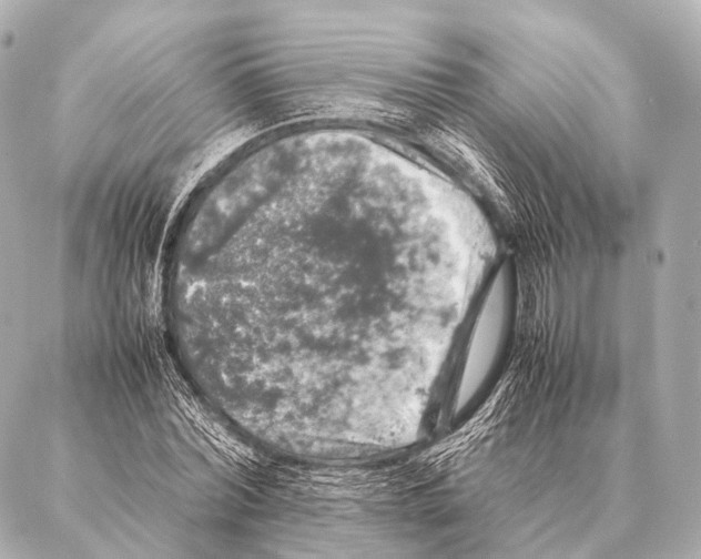 X0000087020780200705141855