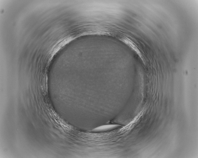 X0000087020781200705141855