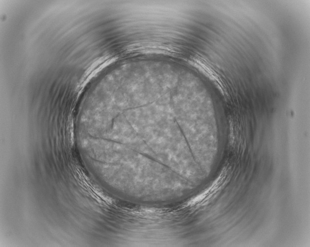 X0000087020782200705141855