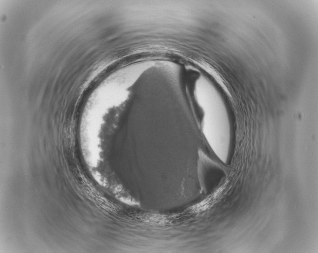 X0000087020783200705141855