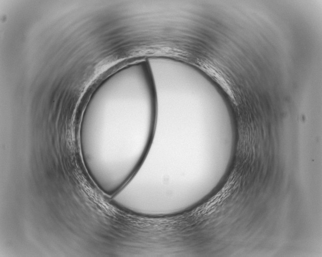 X0000087020784200705141855