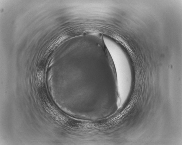 X0000087020785200705141855