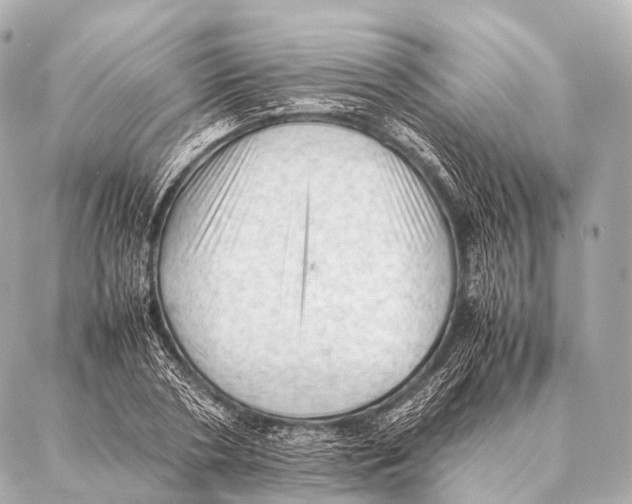 X0000087020786200705141855