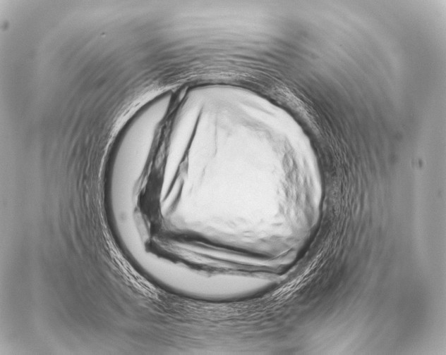 X0000087020787200705141855