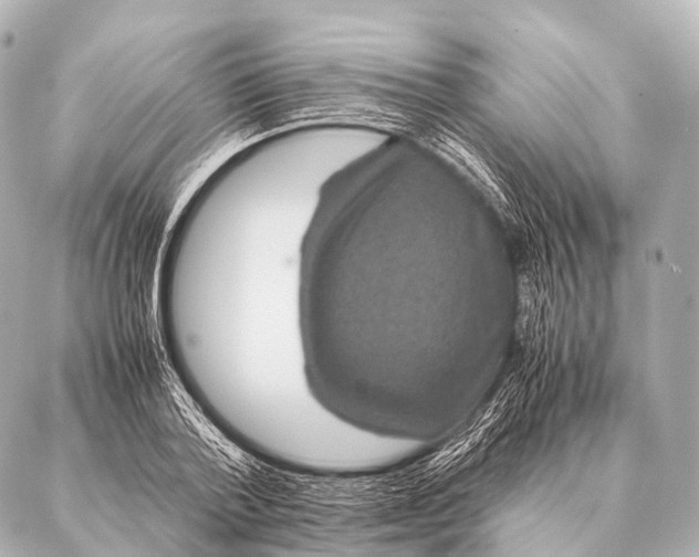 X0000087020788200705141855