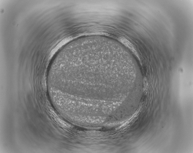 X0000087020789200705141855