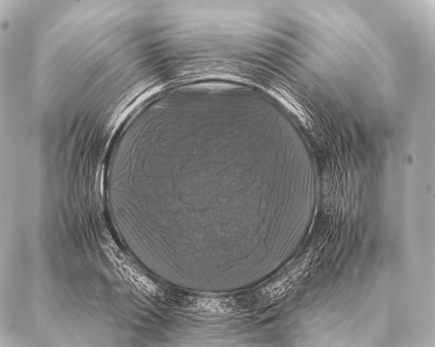 X0000087020790200705141855