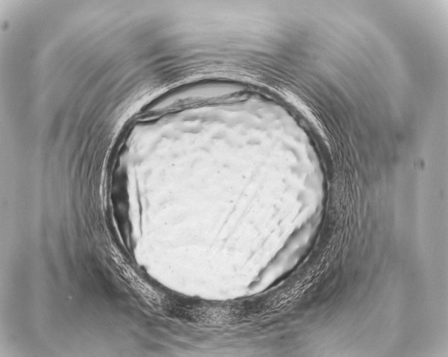 X0000087020791200705141855