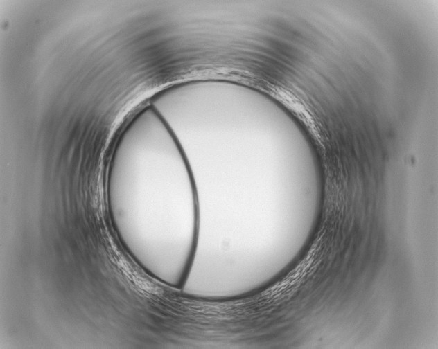 X0000087020792200705141855