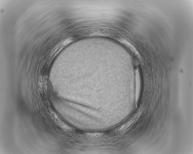 X0000087020793200705141855