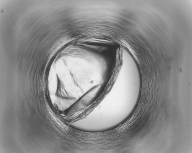 X0000087020795200705141855