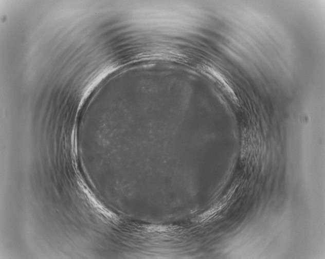 X0000087020796200705141855