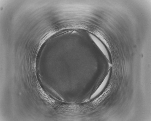 X0000087020797200705141855