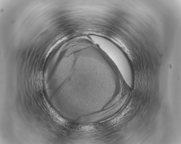 X0000087020798200705141855